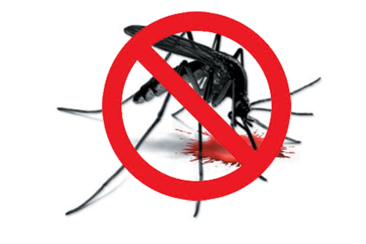 Islamabad gears up for anti-dengue fight before monsoon