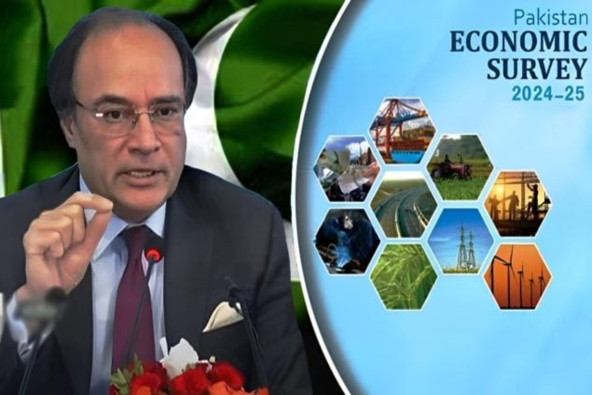 Government Unveils Economic Survey 2024-25