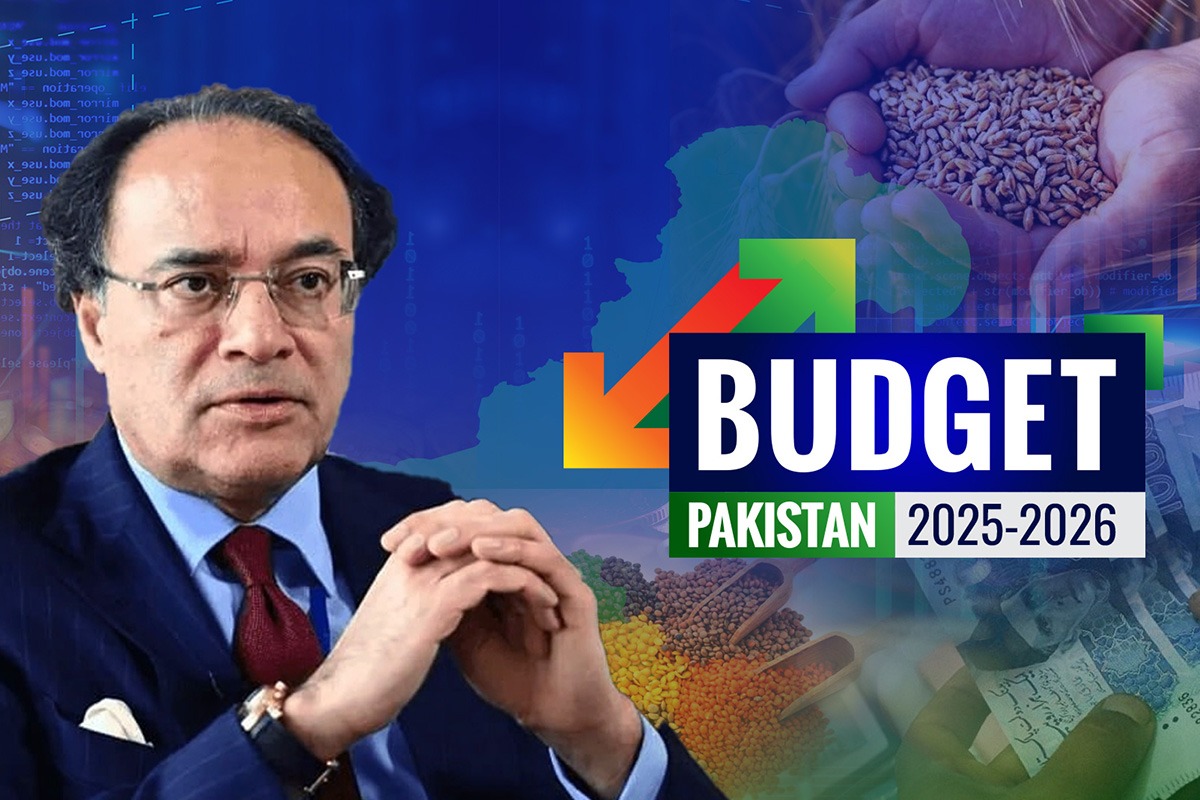 Pakistan's Budget 2025-26: 10% increase in Salaries and 7% hike in Pensions , Adds Carbon Levy to Petrol & Diesel