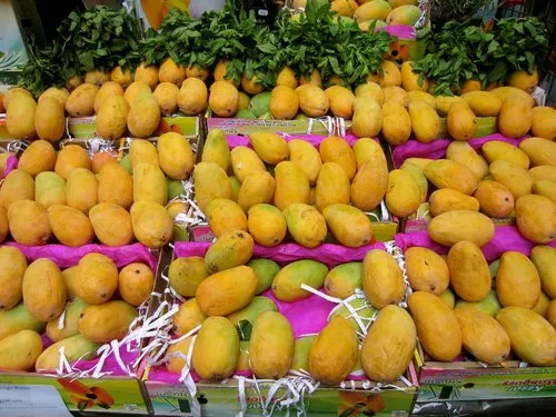 5,550 KG Mangoes Missing from Multan