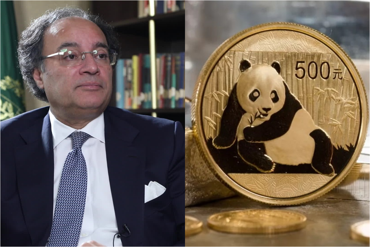 Pakistan’s Finance Ministry holds investor meetings in China for Panda Bond launch