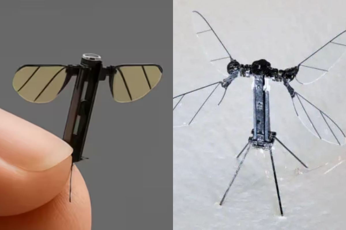 Smallest Spy Ever? China introduce Mosquito drone