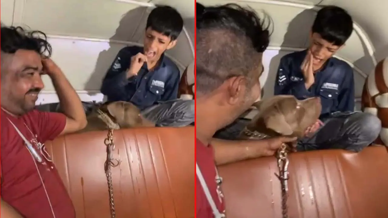 Viral Video: Man laughs as pit bull attacks 11-year-old in Mumbai