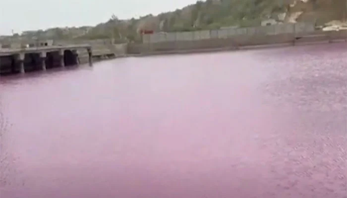 Sea water turns pink at Gadani Jetty