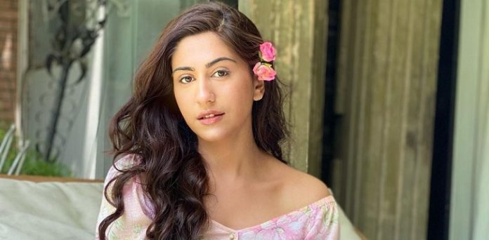 Naeema Butt’s sarcastic video on drama industry sparks online debate