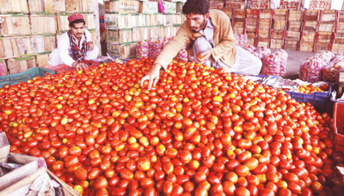 Tomato prices