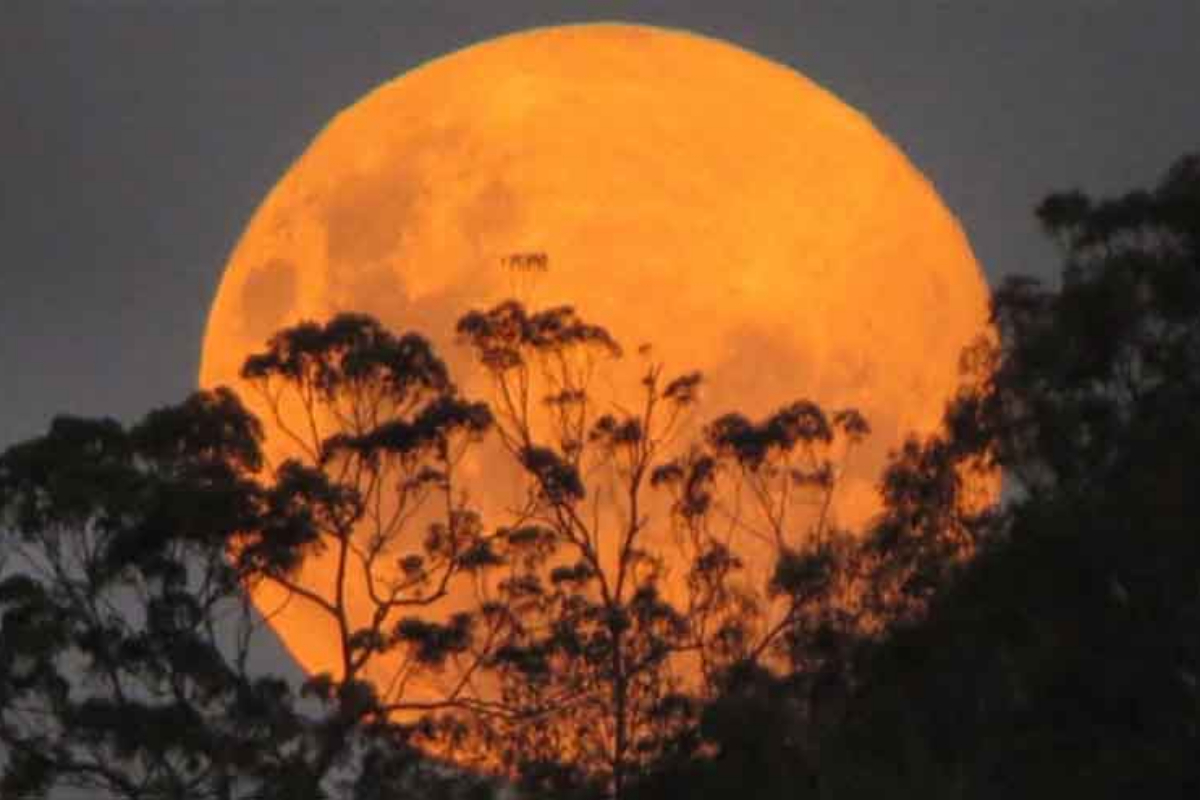 supermoon