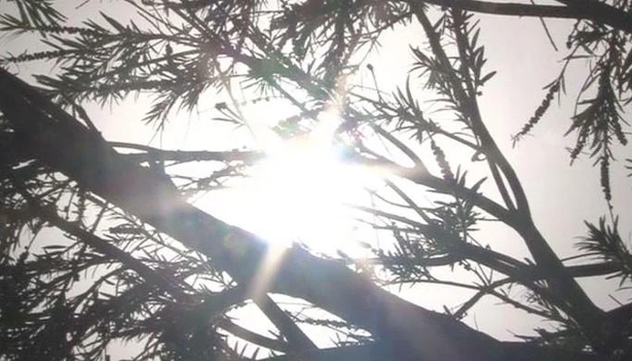 Hot and dry weather continues in Karachi