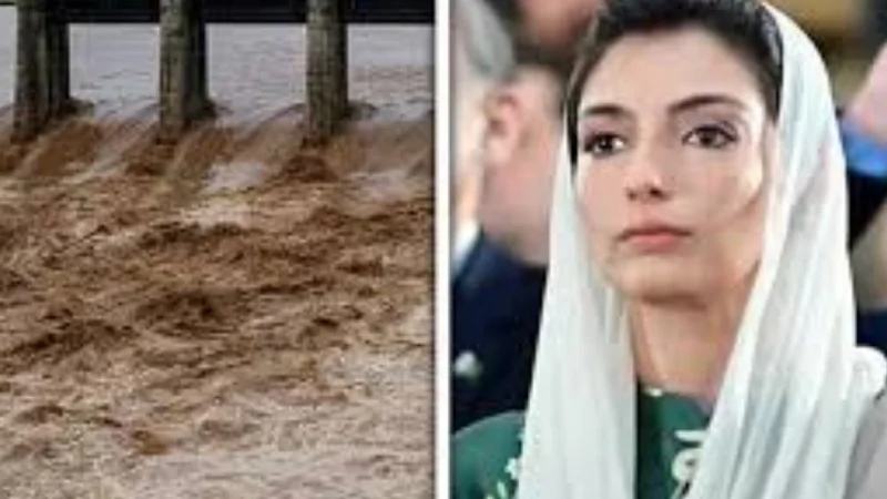Aseefa Bhutto voices concern over severe flood situation in Punjab