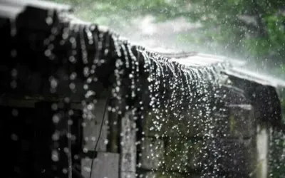 Heavy rains expected in upper districts of Khyber Pakhtunkhwa