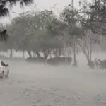 Heavy monsoon rains predicted this week in Lahore, Punjab