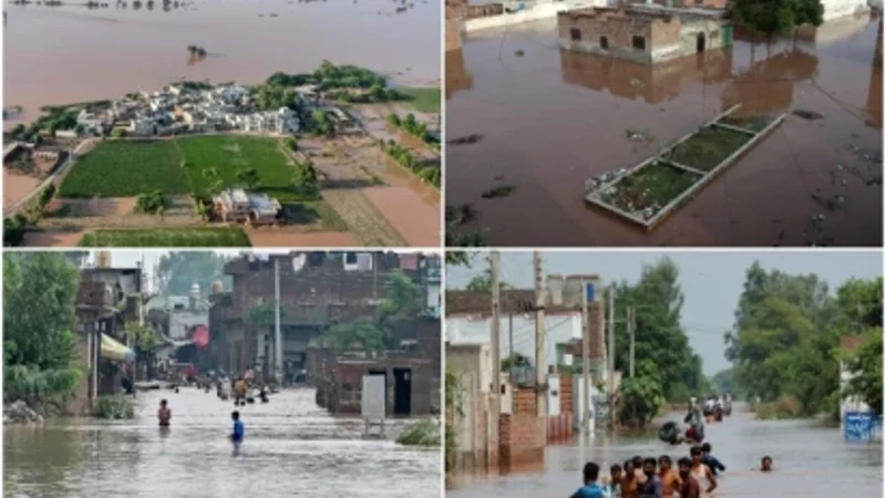 Punjab
