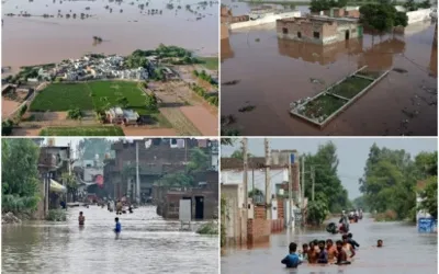 High-level flooding in Punjab rivers: Several cities submerged, educational institutions closed
