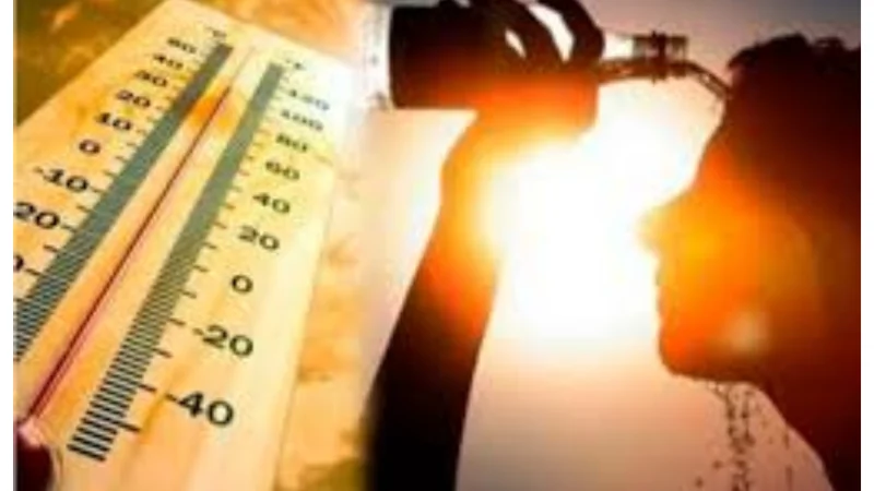 Weather update; Heatwave to continue till June 12 in PunjabWeather update; Heatwave to continue till June 12 in Punjab