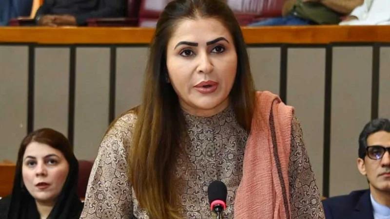 PPP strongly rejects tax on solar panels