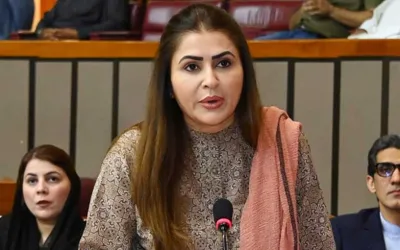 PPP strongly rejects tax on solar panels