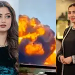 Pakistani Celebrities mourn victims of Indian plane crash