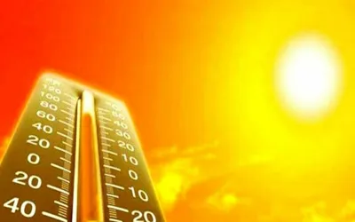 PMD predicts dust storms, rain in Upper Sindh
