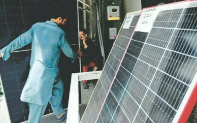 Govt issues warning over unfair Solar Panel price hikes