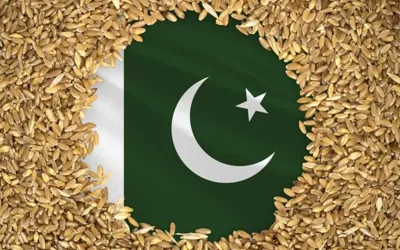 From earth to orbit, Pakistani wheat seeds heads to space
