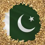 From earth to orbit, Pakistani wheat seeds heads to space