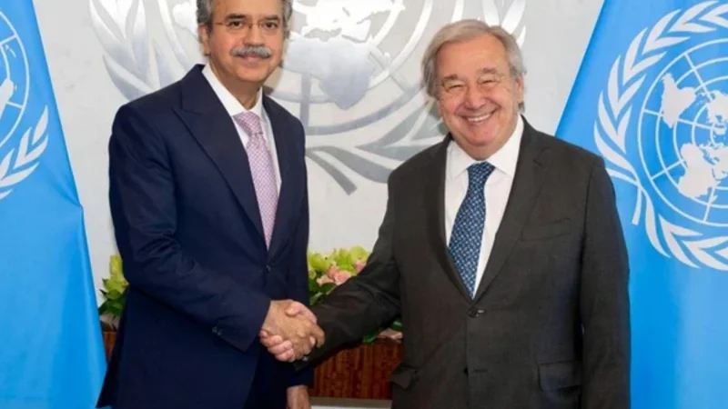 Pakistan to assume UN Security Council presidency in July
