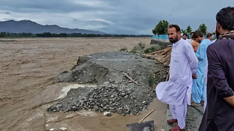 PDMA releases initial report on monsoon losses in KP