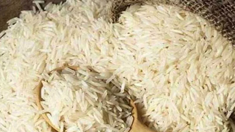 Rice