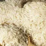 Pakistan's rice export overview for FY 2024-25