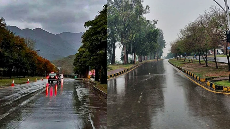 weather