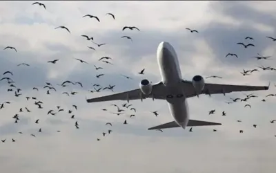Wings over Karachi, PAA issues warning to Pilots