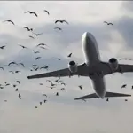 Wings over Karachi, PAA issues warning to Pilots