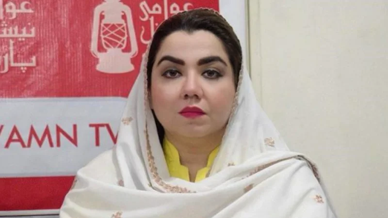 ANP leader Samar Bilour decides to join PML-N