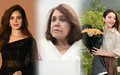 Silent departures from Pakistani showbiz in 2025