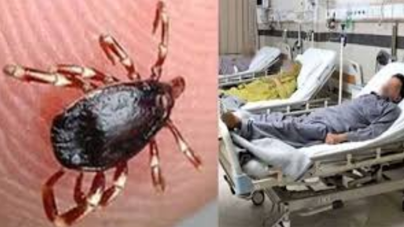 Congo virus.