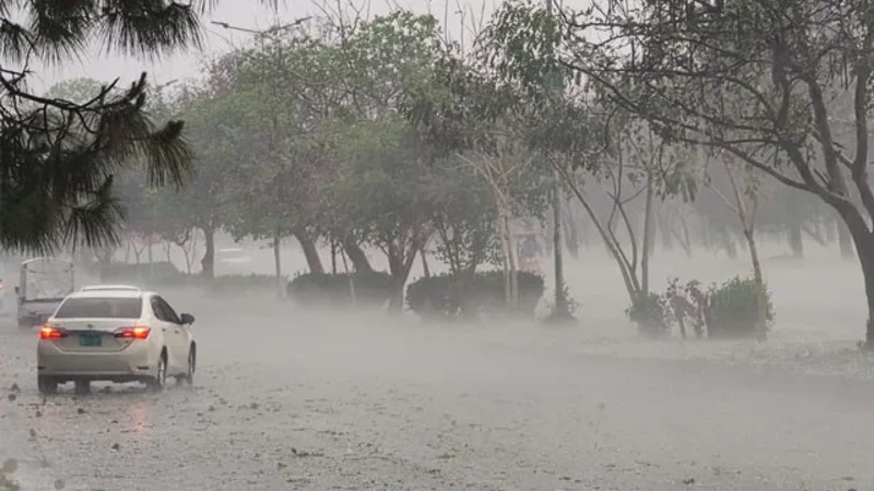Rainfall forecasted in Sindh from today,