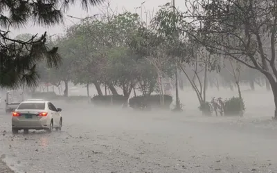Rainfall forecasted in Sindh from today, Metrological Dept