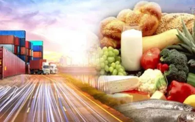 Pakistan's exports rise by 4.45% in FY 2024-25, despite drop in food exports