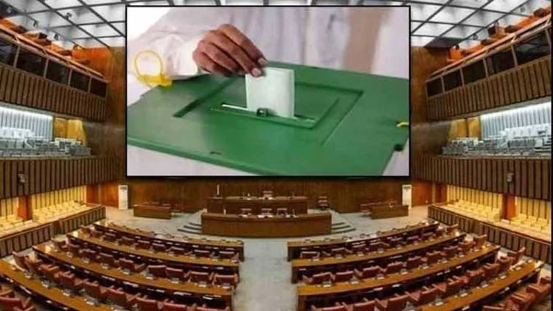senate by-election