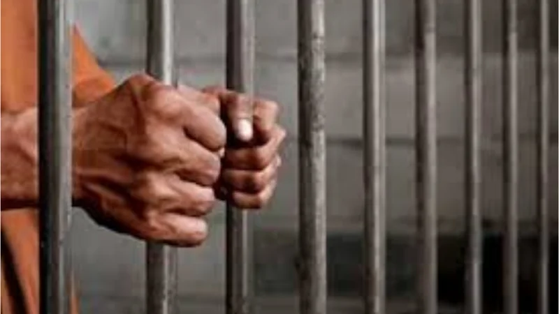 Punjab issues SOPs to improve prison visitation system