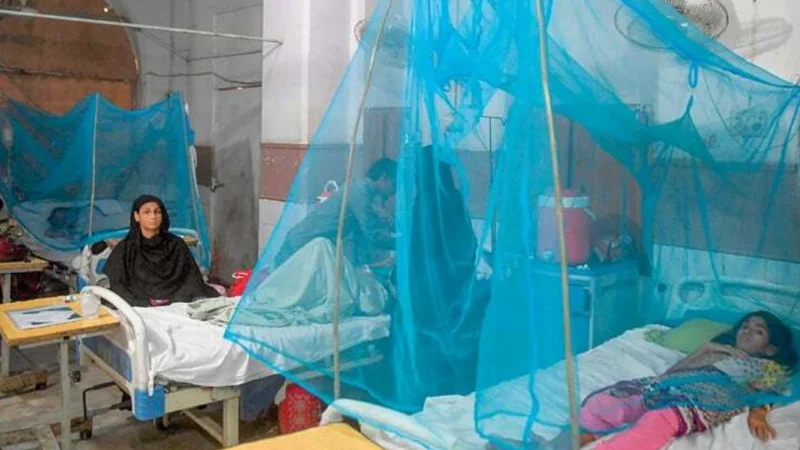 Dengue claims year’s first life in city