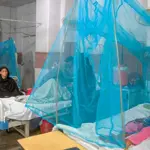 Dengue claims year’s first life in city