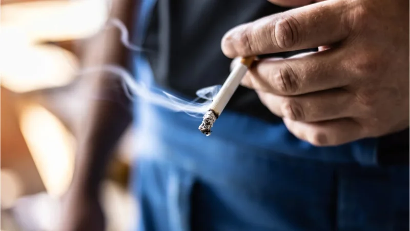 Punjab imposes complete ban on smoking in parks and gardens