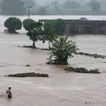 Urban flooding alert in Punjab, Monsoon deaths reach 289