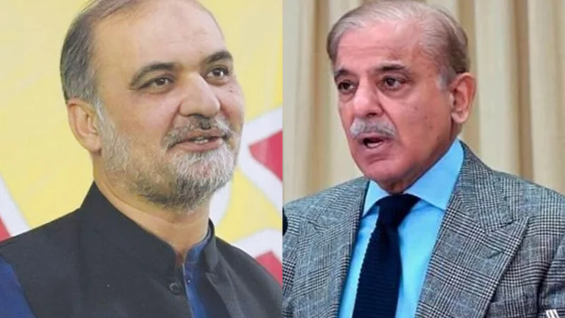 PM, JI Ameer discuss public relief in electricity prices, Palestine