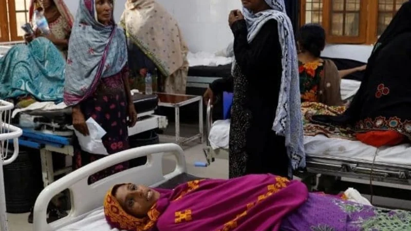 Pakistan ranks among four countries that contribute half of global maternal deaths: UN report