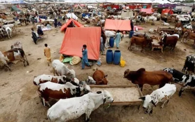 NIH issues advisory for Congo Hemorrhagic fever