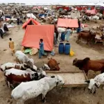 NIH issues advisory for Congo Hemorrhagic fever