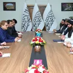 Pakistan, Afghanistan reaffirm commitment to fostering mutually beneficial ties