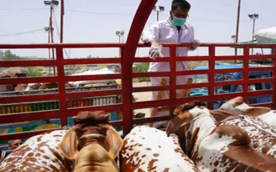 Administrator Shahab Ali reached Sukkur to help stranded traders